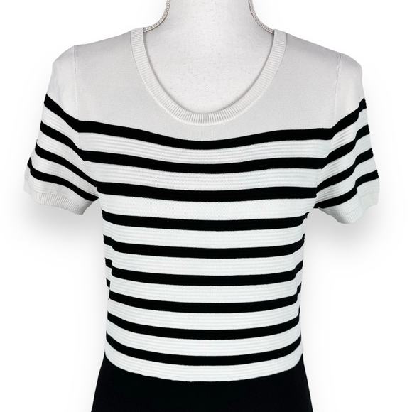 Talbots Women's Color block Stripe Fit & Flare Dress Size Medium P Black White - Picture 2 of 13